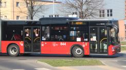 Autobus linii nr 7.