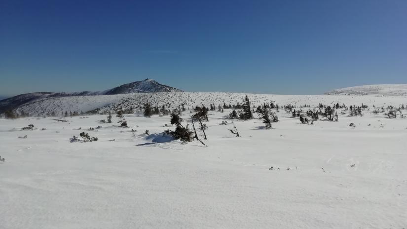 Karkonosze zimą, widok ze szlaku czerwonego na Śnieżkę.