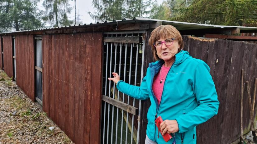 Anna Nikołajuk prezentuje obite deskami budy dla psów.