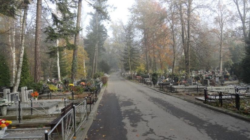 Cmentarz Stary w Jeleniej Górze, ul. Sudecka 44, widok głównej alei.