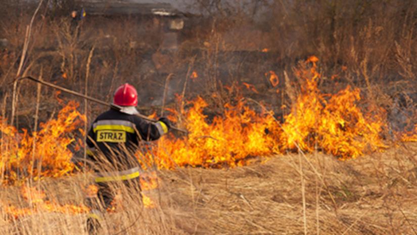 Strażak przy pożarze łąki. Fot. Adobe stock