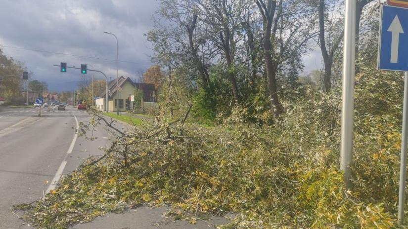 zniszczenia przez wiatr