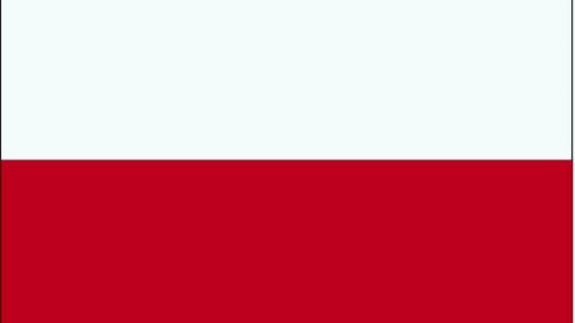 Kontynuujemy akcję rozdawania flag Polski 