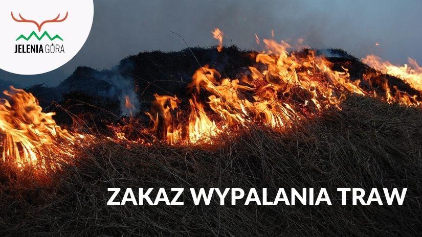 Akcja informacyjna DZPK „Zakaz wypalania traw” 2024