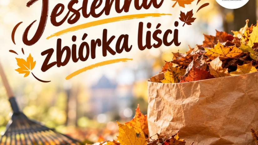 Jesienna zbiórka liści
