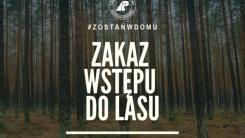  zakaz wstępu do lasu