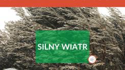 Ostrzeżenie Meteorologiczne - silny wiatr 