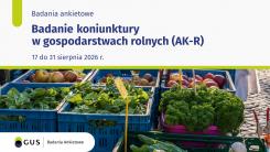 Badanie Koniunktury w Gospodarstwach Rolnych (AK-R).