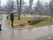 Połamane drzewa w Parku Zdrojowym.