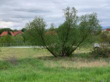 Plaża nad Bobrem.