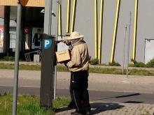 Strażnicy miejscy usuwają pszczoły z parkomatu.