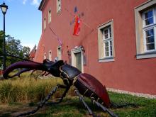 spacer na weekend 26.06-28.06.2020