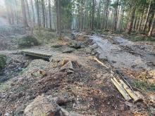 Zniszczona leśna droga.