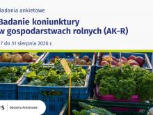 https://badania-ankietowe.stat.gov.pl/kategoria/2/badanie/81